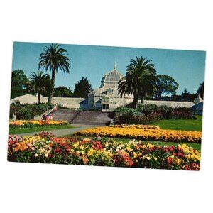 Conservatory Of Flowers Golden Gate Park Vintage Postcard Natural Color Photo